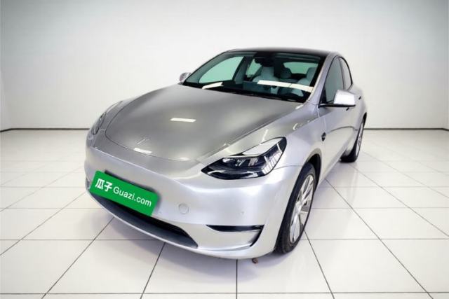 Tesla Model Y 2021 Standard Range Rear-Wheel Drive Version de segunda mano