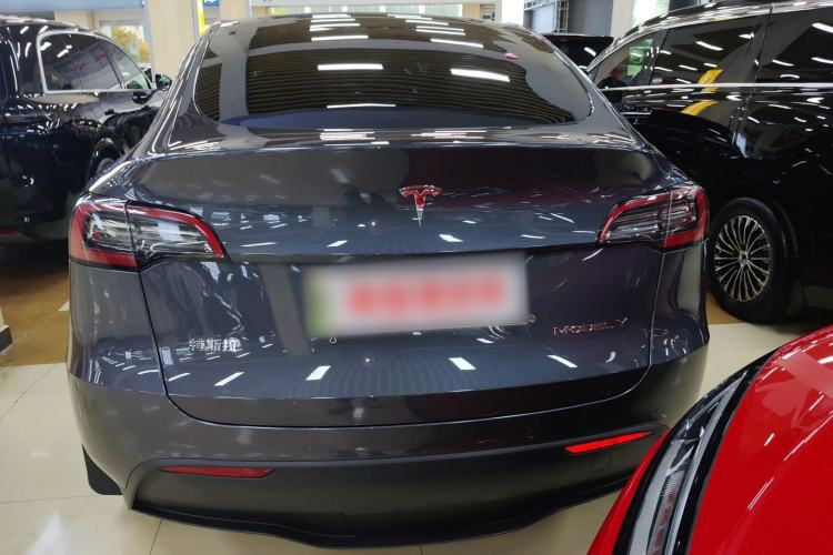 Used Tesla Model Y 2021 Standard Range Rear-Wheel Drive Version Rear