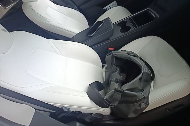 Used Tesla Model Y 2021 Standard Range Rear-Wheel Drive Version Right Front Seat