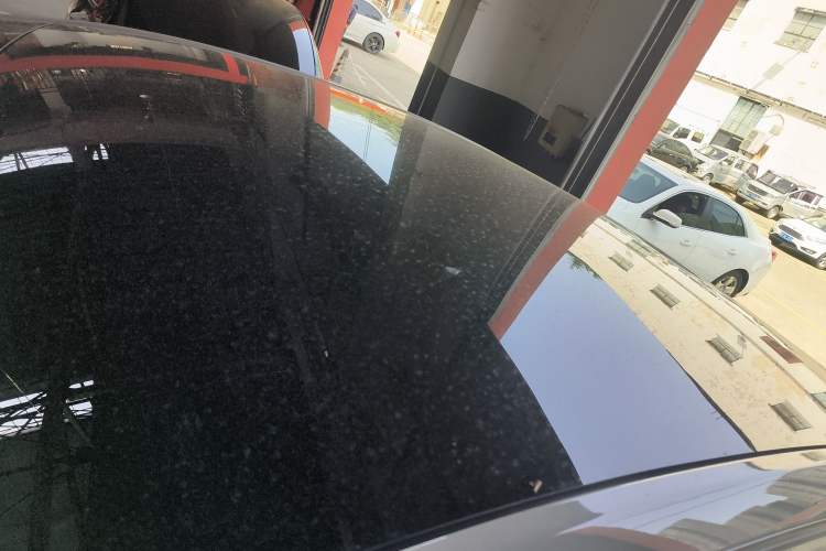 Used Tesla Model Y 2021 Standard Range Rear-Wheel Drive Version Roof