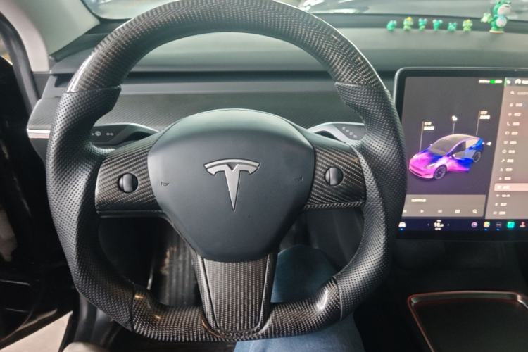 Used Tesla Model Y 2021 Standard Range Rear-Wheel Drive Version Steering Wheel