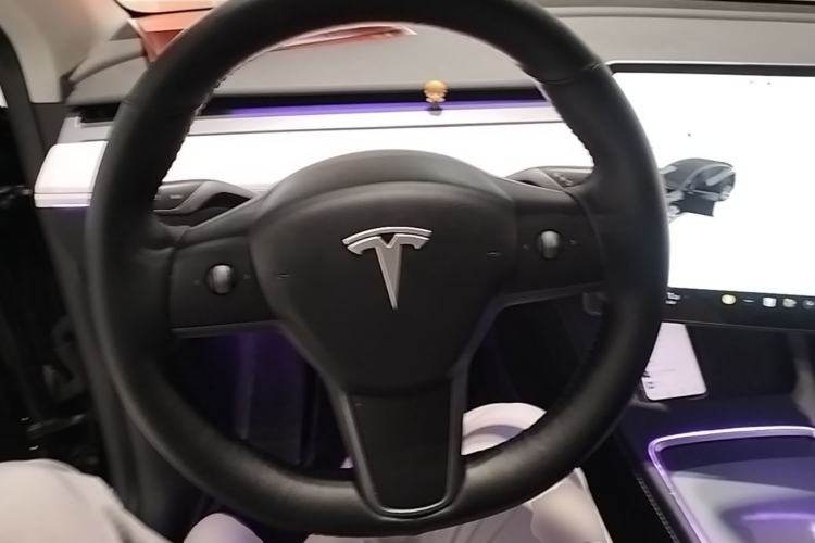 Used Tesla Model Y 2021 Standard Range Rear-Wheel Drive Version Steering Wheel