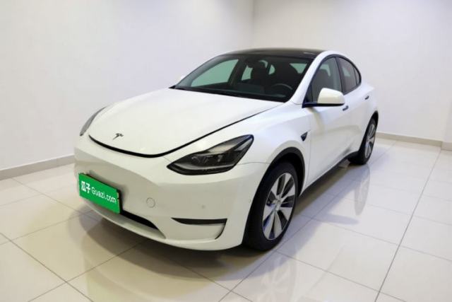 Tesla Model Y 2021 Standard Range Rear-Wheel Drive Version de segunda mano