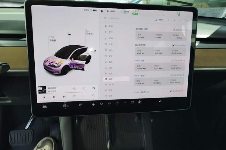 Used Tesla Model Y 2021 Standard Range Rear-Wheel Drive Version Audio And AC Panel