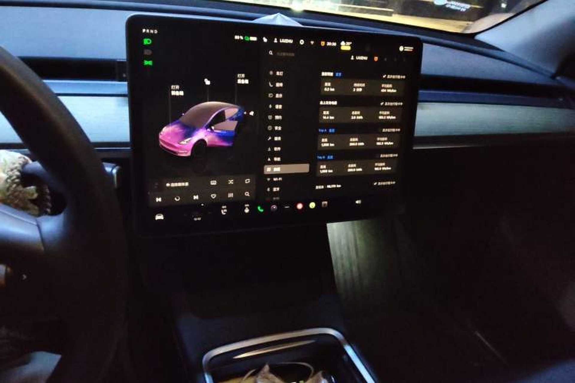 Used Tesla Model Y 2021 Performance High-Performance All-Wheel-Drive Version Audio And AC Panel