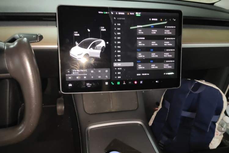 Used Tesla Model Y 2021 Standard Range Rear-Wheel Drive Version Audio And AC Panel