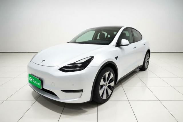 Tesla Model Y 2021 Standard Range Rear-Wheel Drive Version de segunda mano