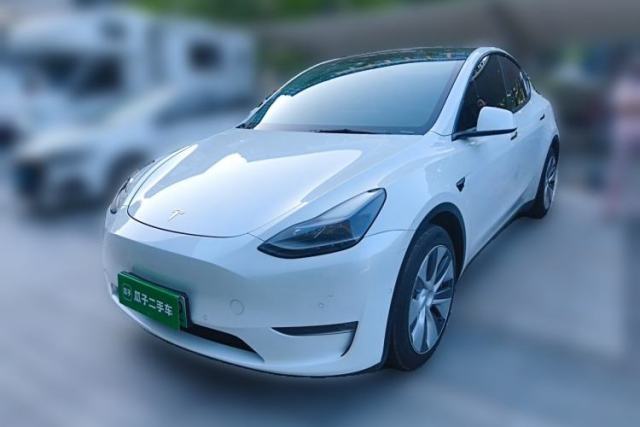 Used Tesla Model Y 2021 Standard Range Rear-Wheel Drive Version