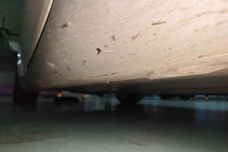 Used Tesla Model Y 2021 Standard Range Rear-Wheel Drive Version Chassis Front Right