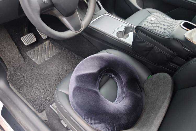 Used Tesla Model Y 2021 Standard Range Rear-Wheel Drive Version Driver Seat