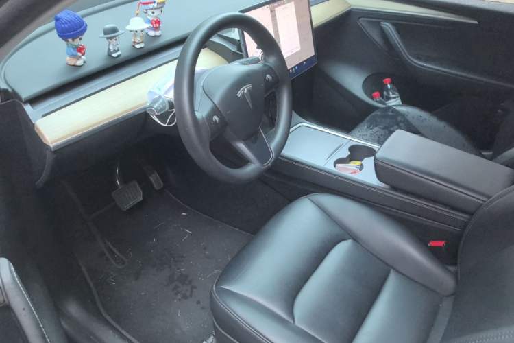 Used Tesla Model Y 2021 Standard Range Rear-Wheel Drive Version Driver Seat