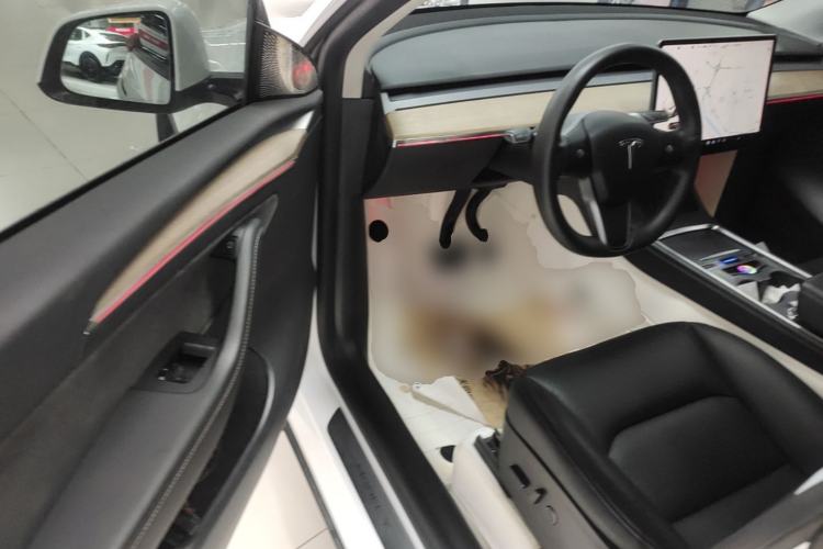 Used Tesla Model Y 2021 Long-Range All-Wheel-Drive Version 3D7 Driver Seat