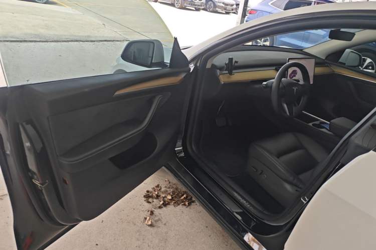 Used Tesla Model Y 2021 Standard Range Rear-Wheel Drive Version Driver Seat