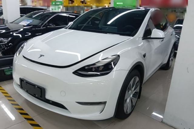 Tesla Model Y 2021 Standard Range Rear-Wheel Drive Version de segunda mano