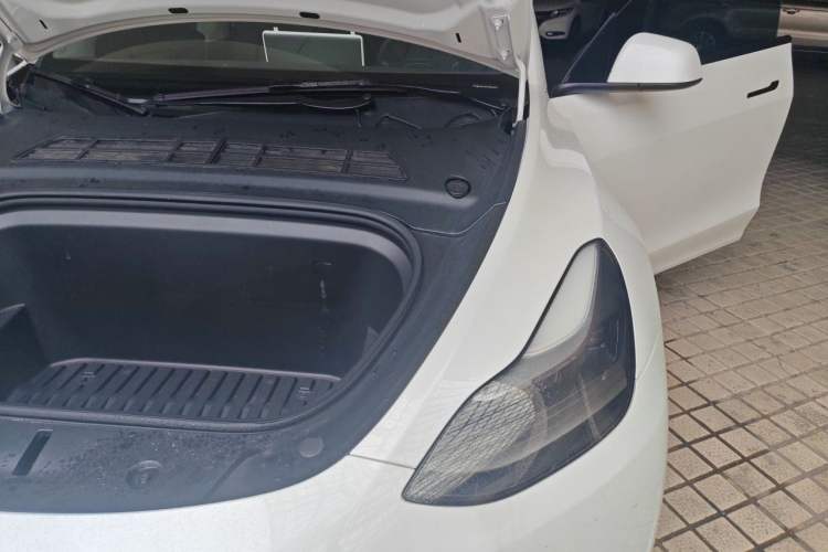 Used Tesla Model Y 2021 Standard Range Rear-Wheel Drive Version Engine Bay Left
