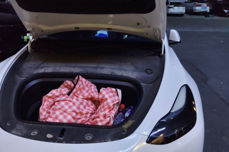 Used Tesla Model Y 2021 Performance High-Performance All-Wheel-Drive Version Engine Bay Left