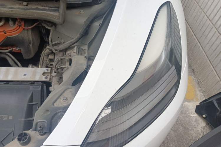 Used Tesla Model Y 2021 Standard Range Rear-Wheel Drive Version Engine Bay Left