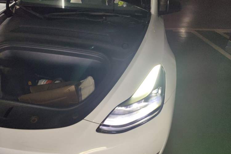 Used Tesla Model Y 2021 Standard Range Rear-Wheel Drive Version Engine Bay Left
