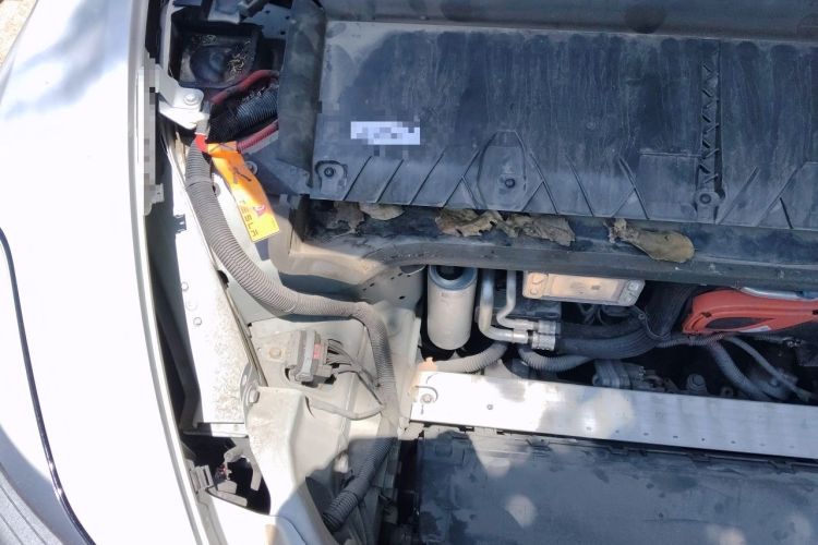 Used Tesla Model Y 2021 Standard Range Rear-Wheel Drive Version Engine Bay Right