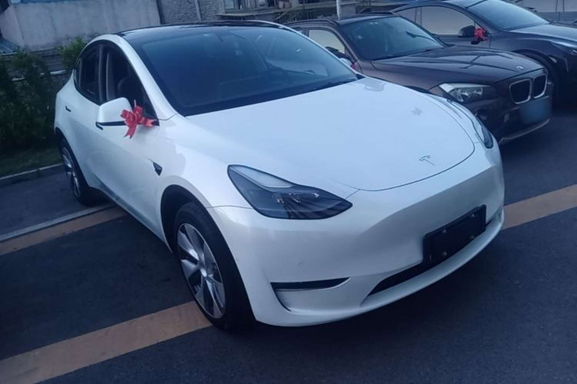 Used Tesla Model Y 2021 Standard Range Rear-Wheel Drive Version Exterior 1