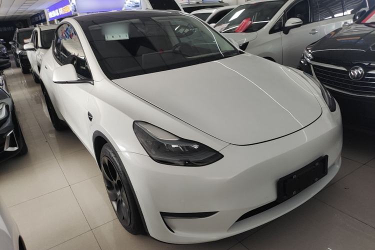 Used Tesla Model Y 2021 Standard Range Rear-Wheel Drive Version Exterior 1