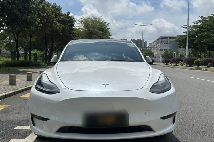 Used Tesla Model Y 2021 Standard Range Rear-Wheel Drive Version Exterior 1
