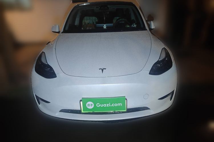 Used Tesla Model Y 2021 Standard Range Rear-Wheel Drive Version Exterior 1