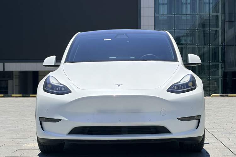 Used Tesla Model Y 2021 Performance High-Performance All-Wheel-Drive Version Exterior 1