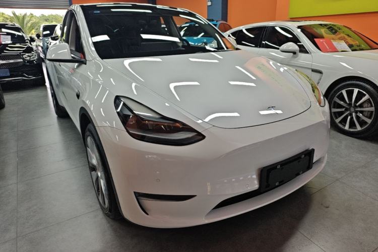 Used Tesla Model Y 2021 Standard Range Rear-Wheel Drive Version Exterior 1