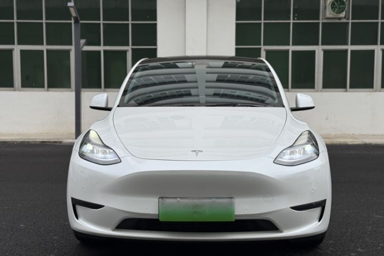 Used Tesla Model Y 2021 Performance High-Performance All-Wheel-Drive Version Exterior 1