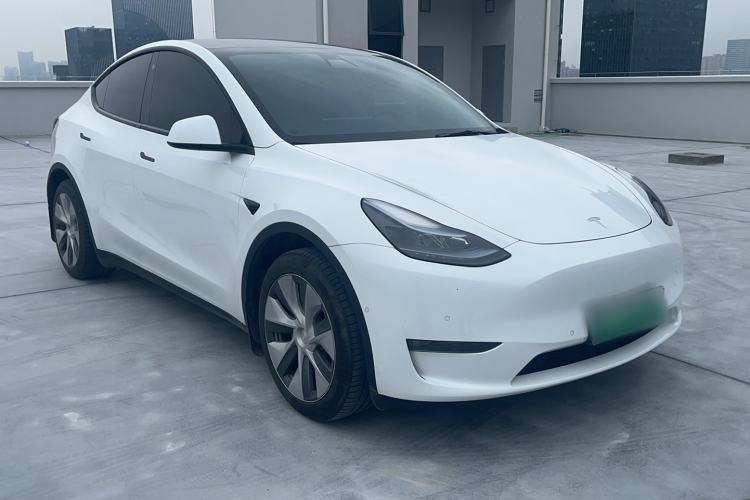 Used Tesla Model Y 2021 Standard Range Rear-Wheel Drive Version Exterior 1