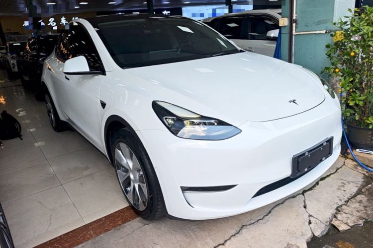 Used Tesla Model Y 2021 Standard Range Rear-Wheel Drive Version Exterior 1