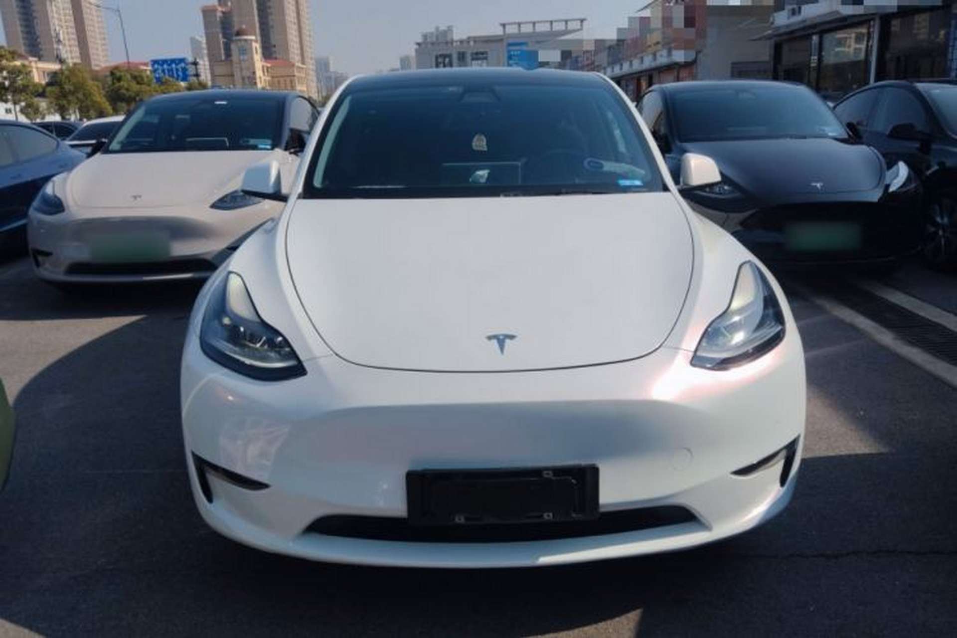 Used Tesla Model Y 2021 Standard Range Rear-Wheel Drive Version Exterior 1