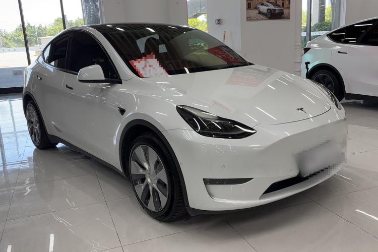 Used Tesla Model Y 2021 Standard Range Rear-Wheel Drive Version Exterior 1