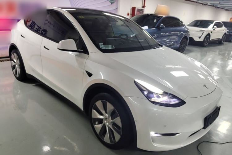 Used Tesla Model Y 2021 Standard Range Rear-Wheel Drive Version Exterior 1