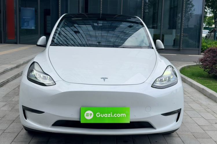 Used Tesla Model Y 2021 Standard Range Rear-Wheel Drive Version Exterior 11