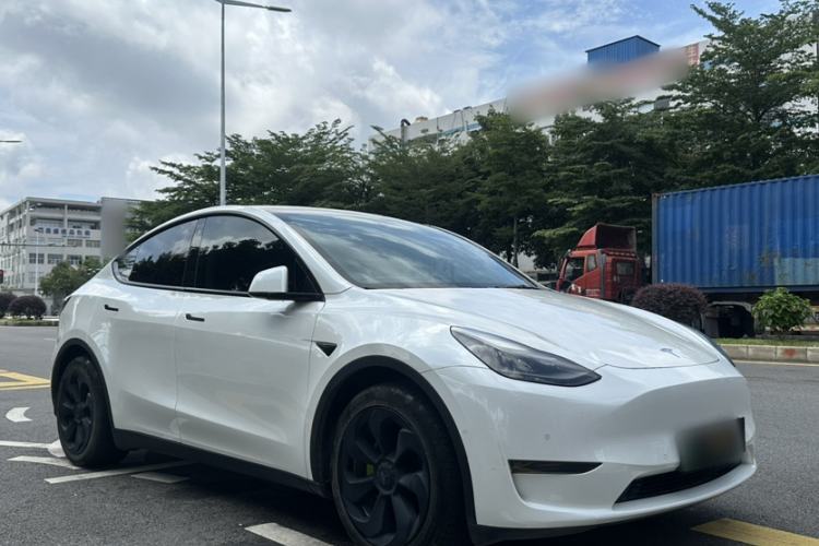 Used Tesla Model Y 2021 Standard Range Rear-Wheel Drive Version Exterior 2