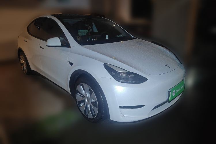 Used Tesla Model Y 2021 Standard Range Rear-Wheel Drive Version Exterior 2