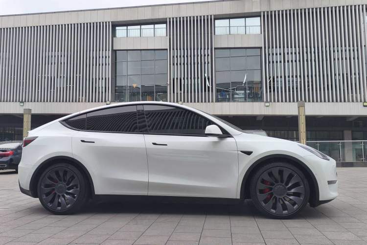 Used Tesla Model Y 2021 Performance High-Performance All-Wheel-Drive Version Exterior 2