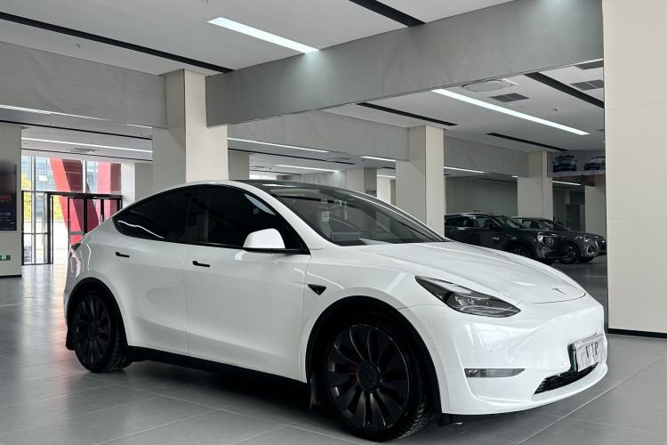 Used Tesla Model Y 2021 Performance High-Performance All-Wheel-Drive Version Exterior 2