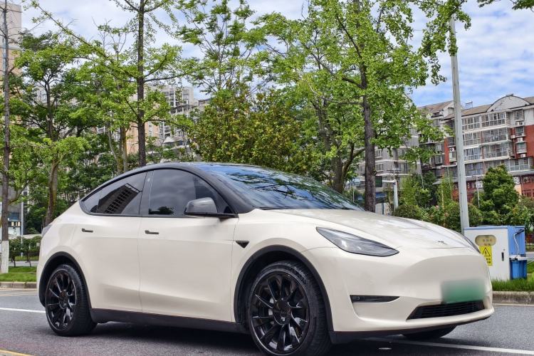 Used Tesla Model Y 2021 Long-Range All-Wheel-Drive Version Exterior 2