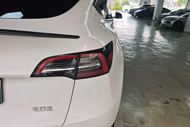 Used Tesla Model Y 2021 Performance High-Performance All-Wheel-Drive Version Exterior 3