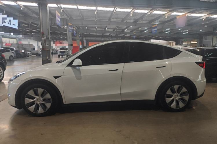 Used Tesla Model Y 2021 Standard Range Rear-Wheel Drive Version Exterior 3