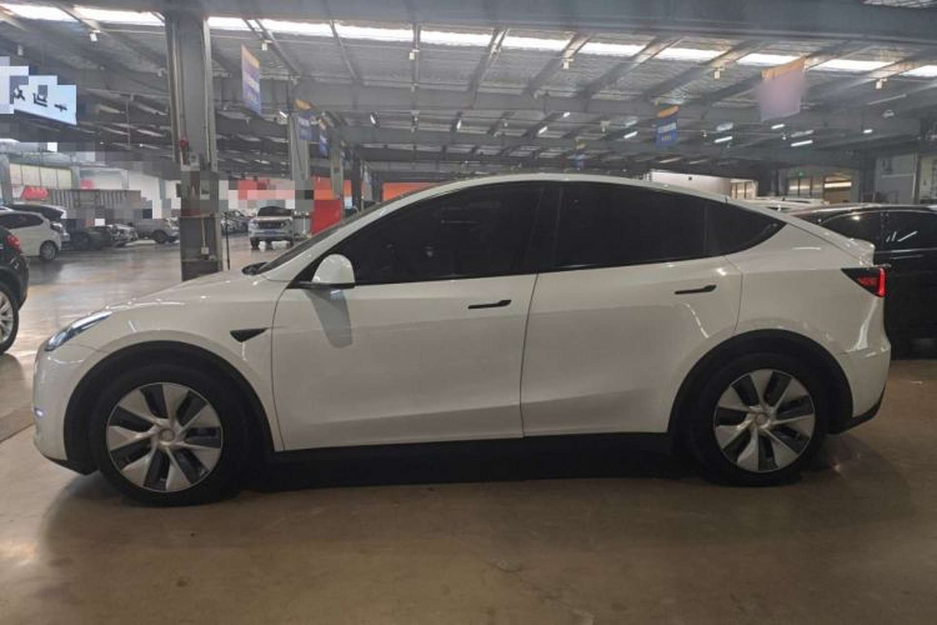 Used Tesla Model Y 2021 Standard Range Rear-Wheel Drive Version Exterior 3