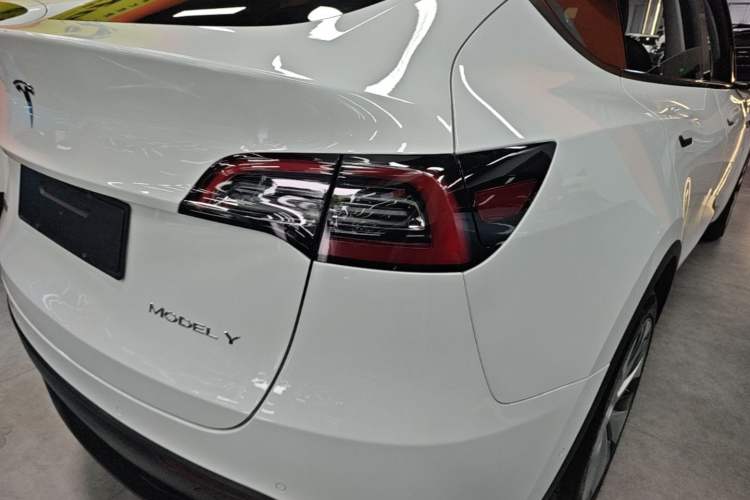 Used Tesla Model Y 2021 Standard Range Rear-Wheel Drive Version Exterior 3