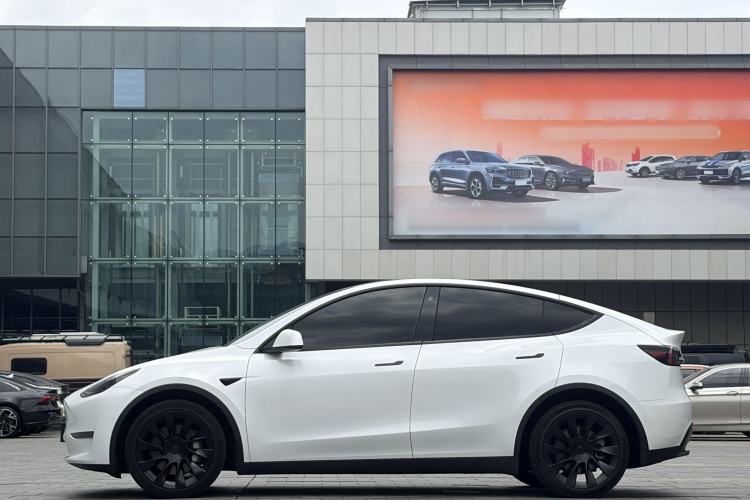 Used Tesla Model Y 2021 Long-Range All-Wheel-Drive Version 3D7 Exterior 4