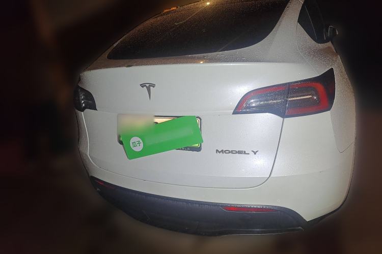 Used Tesla Model Y 2021 Standard Range Rear-Wheel Drive Version Exterior 4