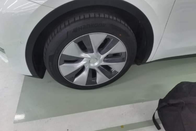Used Tesla Model Y 2021 Standard Range Rear-Wheel Drive Version Exterior 4