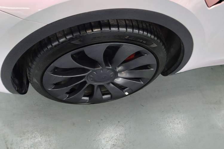 Used Tesla Model Y 2021 Performance High-Performance All-Wheel-Drive Version Exterior 4