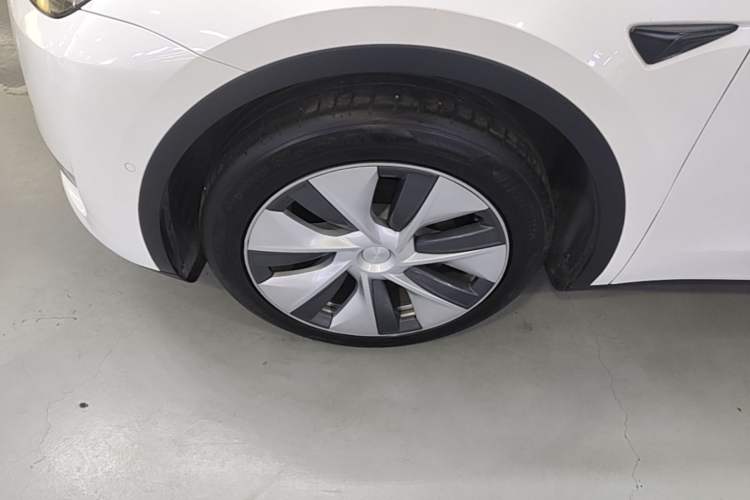 Used Tesla Model Y 2021 Standard Range Rear-Wheel Drive Version Exterior 4